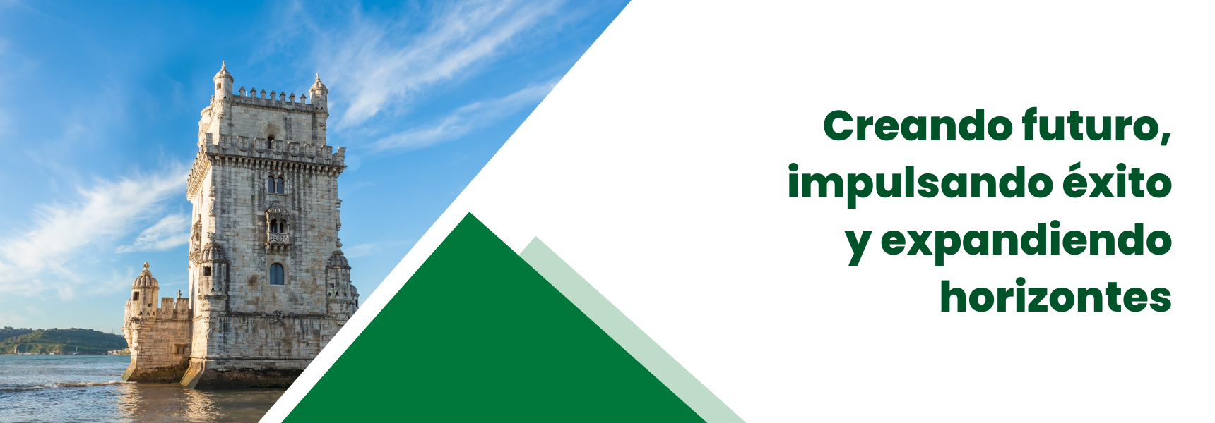 New Energy Consulting Portugal